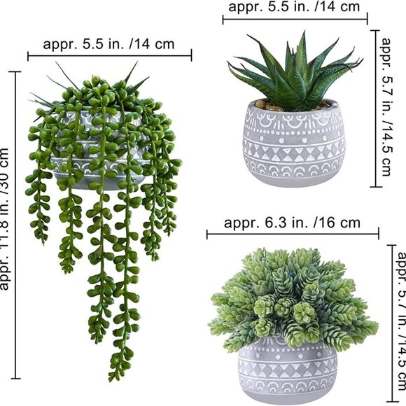 NEW 3 Pcs Assorted Small Potted Succulent Plants Artificial Aloe Hops String. - Picture 5 of 9